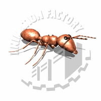 Ant Animation