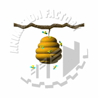 Wasps Animation