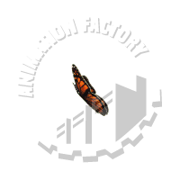 Monarch Animation
