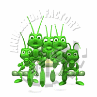 Grasshoppers Animation