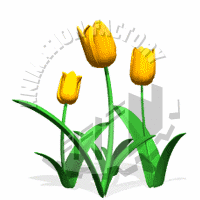 Tulips Animation