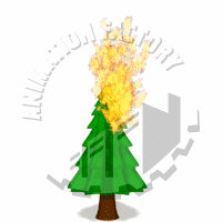 Wildfire Animation