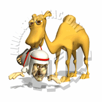 Camel Animation