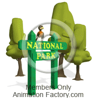 National Animation