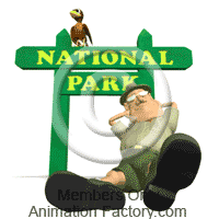 National Animation