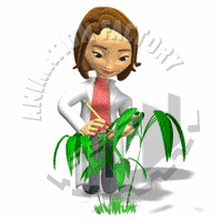 Plants Animation