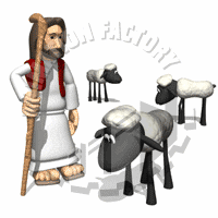Sheep's Animation