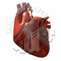 Heartbeat Animation