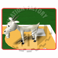 Goat Animation