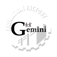 Gemini Animation
