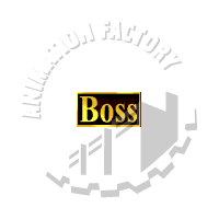 Boss's Animation