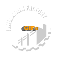 Gifs Animation