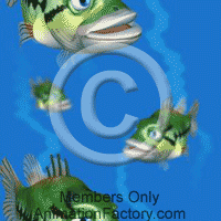 Fish Web Graphic
