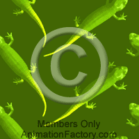 Green Web Graphic