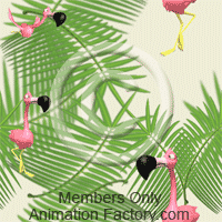 Flamingoes Web Graphic