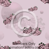 Grapes Web Graphic