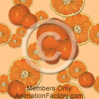 Citrus Web Graphic