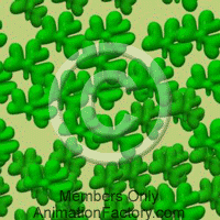 Shamrocks Web Graphic