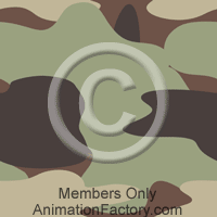 Camoflauge Web Graphic