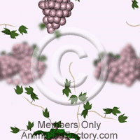 Grapes Web Graphic