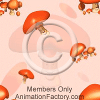 Fungi Web Graphic