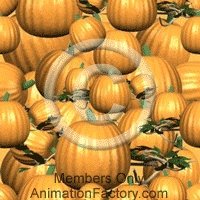 Harvest Web Graphic