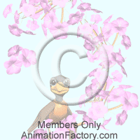 Blossoms Web Graphic
