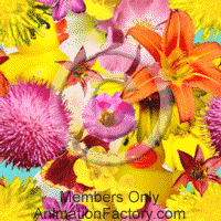 Flowers Web Graphic