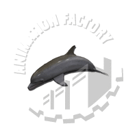 Dolphin Web Graphic
