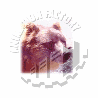 Bear Web Graphic