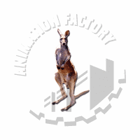 Kangaroo Web Graphic