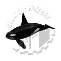 Orca Web Graphic