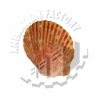 Seashell Web Graphic