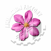 Flower Web Graphic