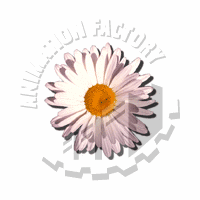Flower Web Graphic