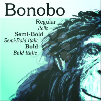 Semibold Font