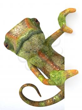 Royalty Free 3d Clipart Image of a Chameleon Pointing to a Sign Board