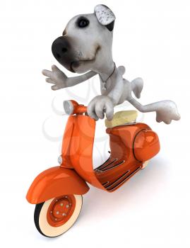 Royalty Free Clipart Image of a Jack Russell on a Scooter