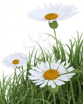3D render of Spring Flowers in Grass isolated on white