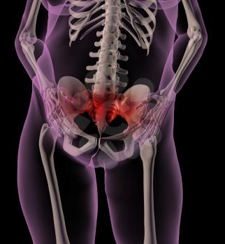 3D render of a female medical skeleton with stomach ache