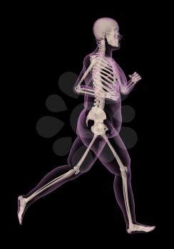 3D render of an overweight female medical skeletong running