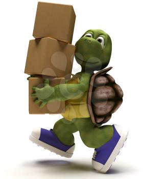 3D render of a Tortoise Caricature runniing with packing cartons