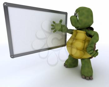 3D render of a tortoise with White class room drywipe marker board