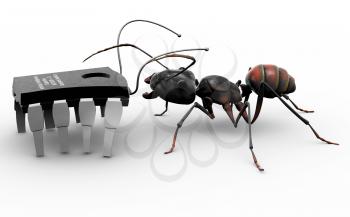 Royalty Free Clipart Image of an ant meeting a microchip computer bug.