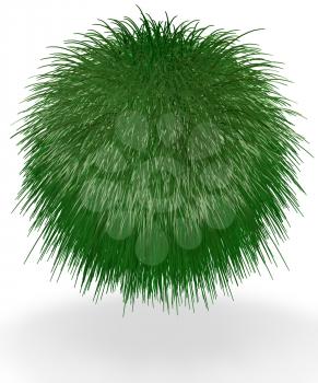 A ball of long grass suspended in the air. Good concept for most green and earth preservation concepts. 