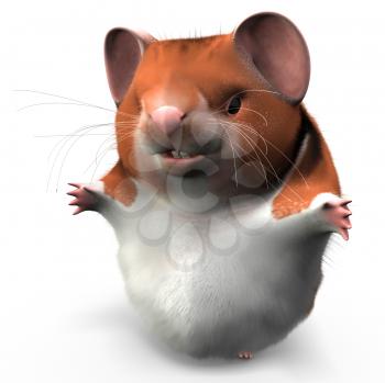 Hamster Clipart