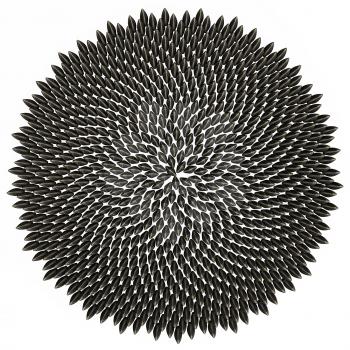 Sunflower seeds arranged perfectly, isolated for easy inclusion in your design.