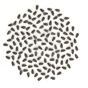 Sunflower seeds arranged with perfect spacing and random rotations. Attractive image fits many subjects of natural sciences and mathematics.