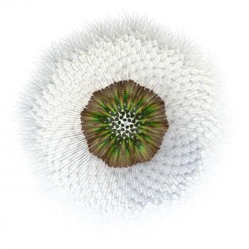 3d generated dandelion seeds, with hair particles acting as the wind catchers distinctive of dandelion seeds. Experiment with golden ratio and point generation applied to a dandelion.