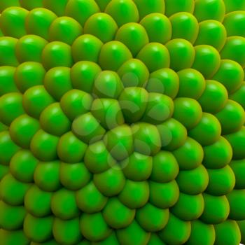 Beautiful Fibonacci pattern, with basic seedling or green botanical growth. A simple display of mathematics in nature.